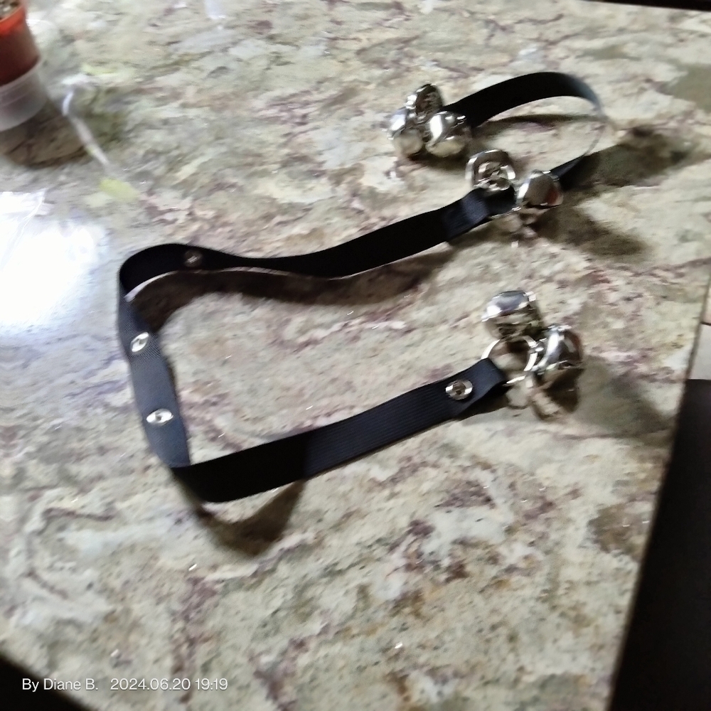 Potty Training Dog Bells